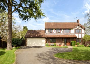 Thumbnail Detached house for sale in Winterpit Close, Mannings Heath