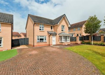 Thumbnail 5 bed detached house for sale in Cot Castle Grove, Stonehouse, Larkhall