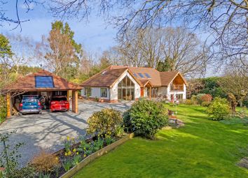 Chelmsford - 4 bed detached house for sale