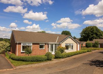 Thumbnail 3 bed bungalow for sale in Alder Close, Morpeth