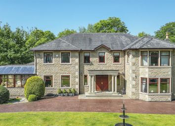Front External