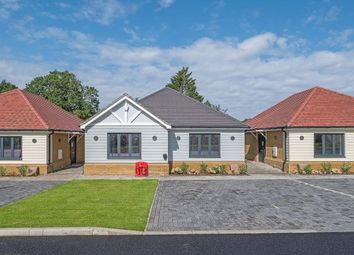 Thumbnail 3 bed bungalow to rent in Oak Hill Road, Romford
