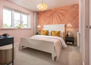 Showhome Photography