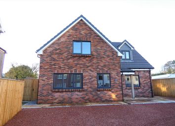 Thumbnail 4 bed detached house for sale in Aeronfa, Clunderwen, Narberth