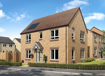 An Artists Impression Of The Aynesdale