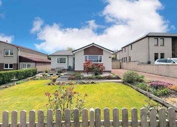 Thumbnail Detached bungalow for sale in Waggon Road, Falkirk