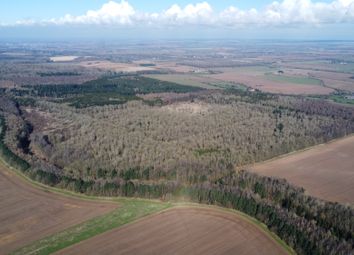 Thumbnail Land for sale in Muckton, Louth