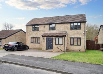 Thumbnail Detached house for sale in Lambton Court, Peterlee