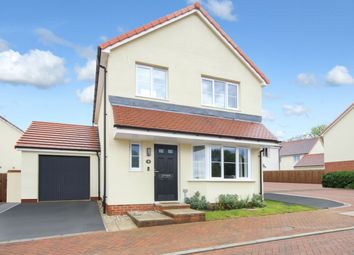 Thumbnail Detached house for sale in Speckled Wood Court, Roundswell, Barnstaple, Devon