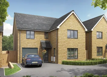 The Coltham Detached Home