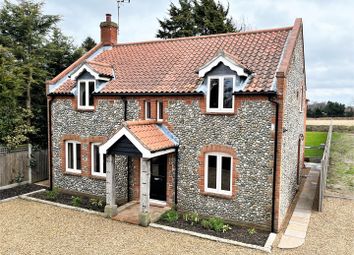 Thumbnail 4 bed detached house for sale in Sustead, Norwich