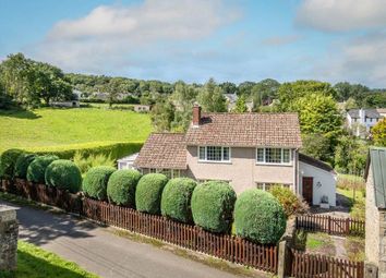 Thumbnail Detached house for sale in Woodland Road, Bream, Lydney