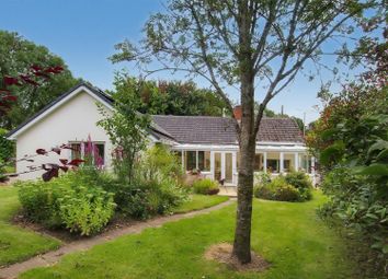 Thumbnail 2 bed cottage for sale in Rhydlewis, Llandysul