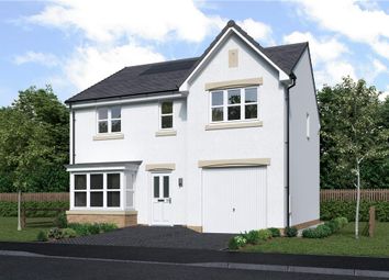 Thumbnail Detached house for sale in "Maplewood" at Jackson Way, Tranent