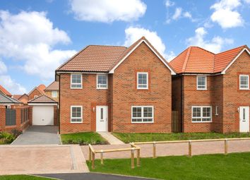 Thumbnail 4 bedroom detached house for sale in "Radleigh" at Blenheim Avenue, Brough