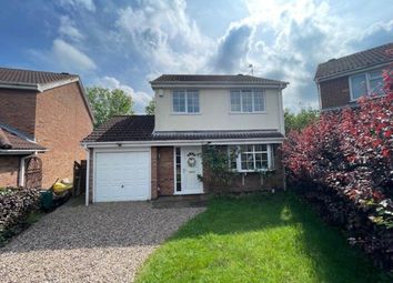Thumbnail Detached house to rent in Nicolson Road, Loughborough