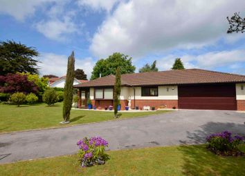 Property listing in Brixham, Devon