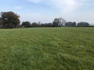 Thumbnail Land for sale in Broad Oak, Hereford