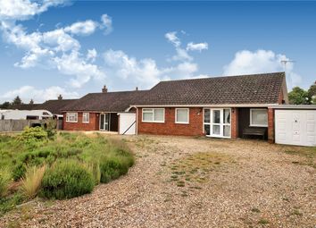 Thumbnail 3 bed bungalow for sale in St. Georges Close, Thurton, Norwich, Norfolk