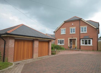 Thumbnail 4 bed detached house to rent in Wychwood Close, Marford, Wrexham