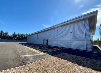 Thumbnail Industrial to let in Tagomago Park, Ocean Park, Cardiff