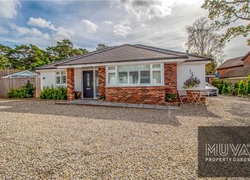 Thumbnail 3 bed bungalow for sale in St. Leonards, Ringwood