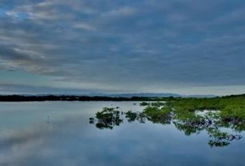 Thumbnail 2 bed cottage for sale in Placencia, Belize