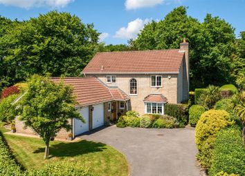 Property listing in Axminster, Devon