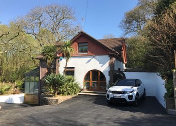 Thumbnail Detached house for sale in Ringwood Road, Bournemouth