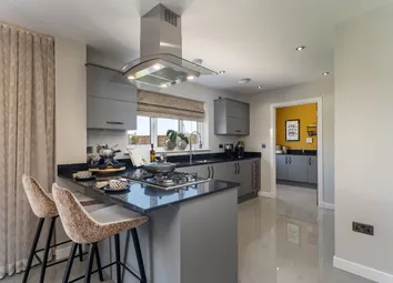 Showhome Photography