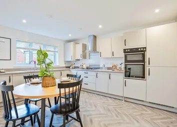 Ashbury Kitchen - Violet Meadows