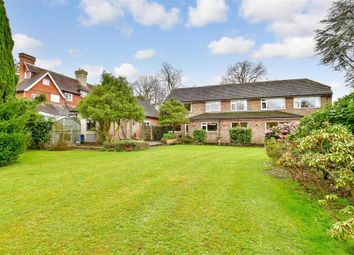Thumbnail Detached house for sale in Crawley Road, Horsham, West Sussex
