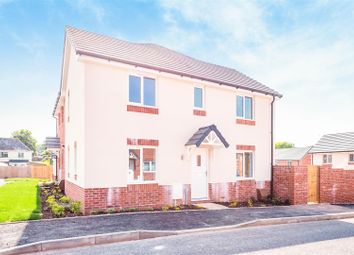 Thumbnail Semi-detached house to rent in Chapel Way, Axminster