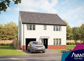 Thumbnail 5 bedroom detached house for sale in "The Rothesay" at Sycamore Drive, Penicuik