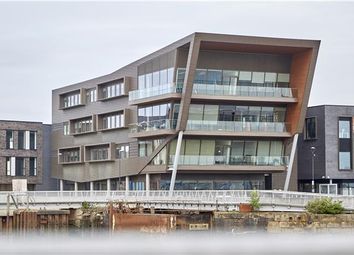 Thumbnail Office to let in C4DI Complex @The Dock, Fruit Market, Hull, East Yorkshire