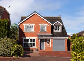 Thumbnail Detached house for sale in Egremont Close, Stamford Bridge, York, East Riding Of Yorkshi