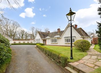 Thumbnail Detached bungalow for sale in Forest Hill, Hartford, Northwich