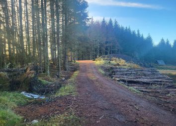 Thumbnail Land for sale in Rutting Season 8, Spean Bridge, Fort William