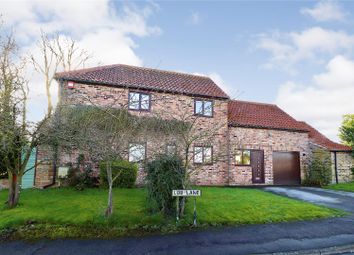 Thumbnail Detached house for sale in Lob Lane, Stamford Bridge, York