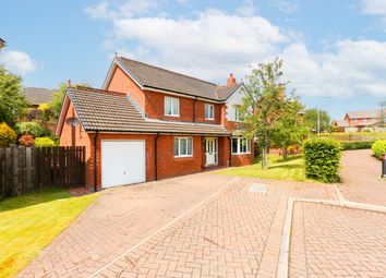 Thumbnail 4 bedroom detached house for sale in Woodgrove Avenue, Dumfries
