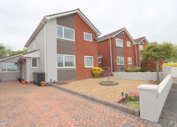 Thumbnail 4 bed detached house for sale in Briarleigh Close, Mainstone
