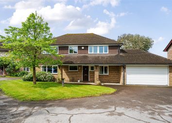 Thumbnail Detached house for sale in Ryves Avenue, Yateley