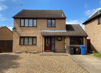 Thumbnail Detached house to rent in Noel Murless Drive, Newmarket