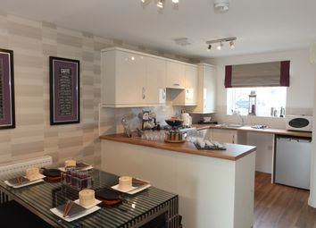 Thumbnail 3 bed semi-detached house for sale in The Tyrone, Cargo Fleet Lane, Middlesbrough