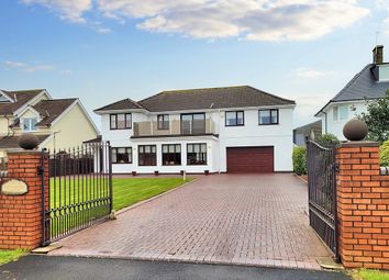 Thumbnail Detached house for sale in Danygraig Avenue, Newton, Porthcawl