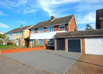 Thumbnail 5 bed semi-detached house for sale in Vine Road, Tiptree, Colchester