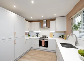 Hazel Kitchen