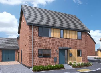 Thumbnail 3 bed detached house for sale in Rokeles Green, Watton, Thetford
