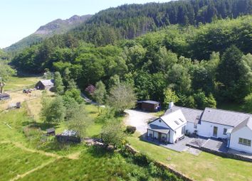 Dji_0004.Jpg