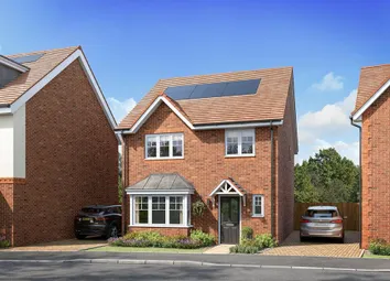 The Romsey CGI Ackender Hill